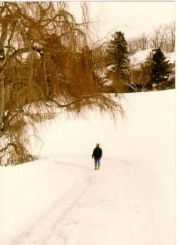 In this photograph, 
a minuscule Bly looks up into a huge tree and thinks: